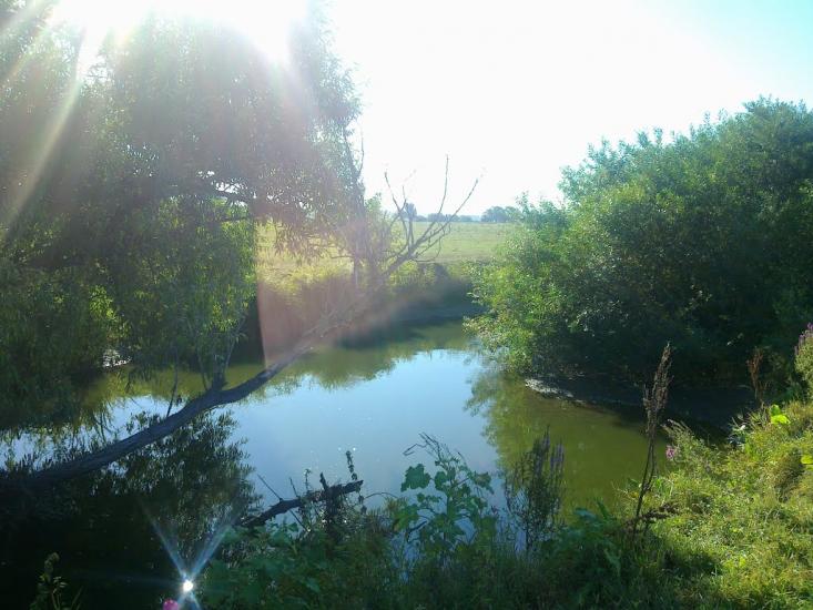 Сорока з panoramio.com - Сорока