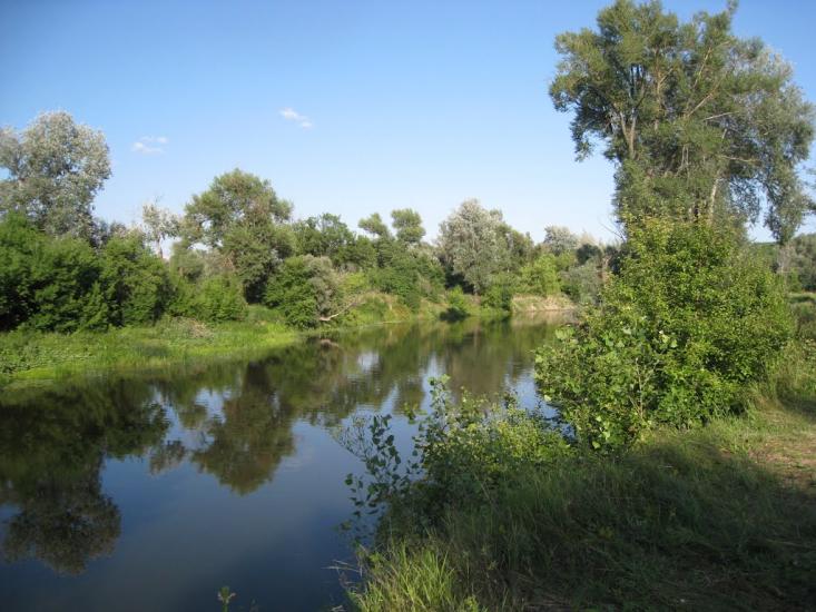 Синичине з panoramio.com - Synychyne