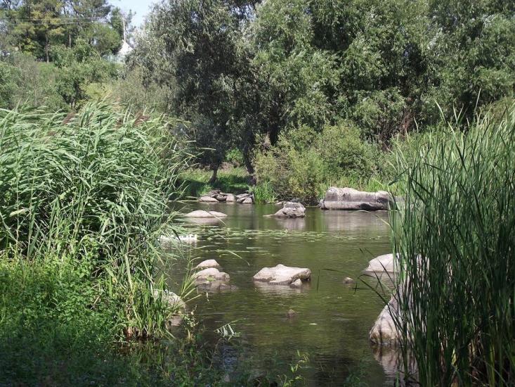 Городище-Пустоварівське з panoramio.com - Городище-Пустоваровское
