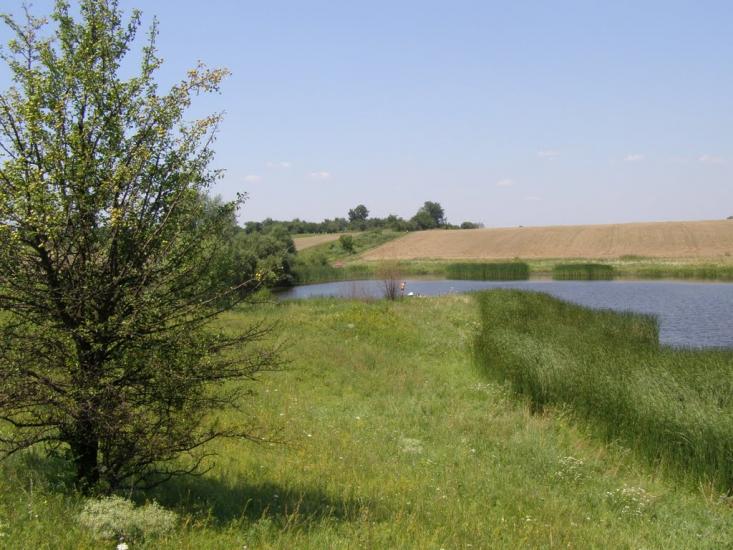 Пінчуки з panoramio.com - Пинчуки