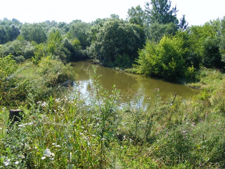 Примощаниця з panoramio.com - Примощаниця