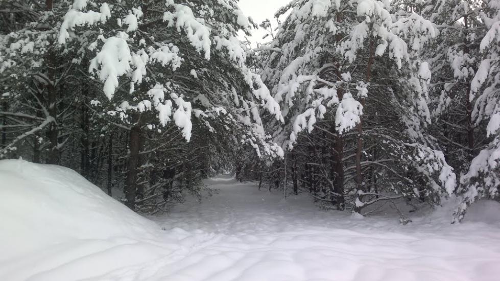 Білий Берег з panoramio.com - Белый Берег