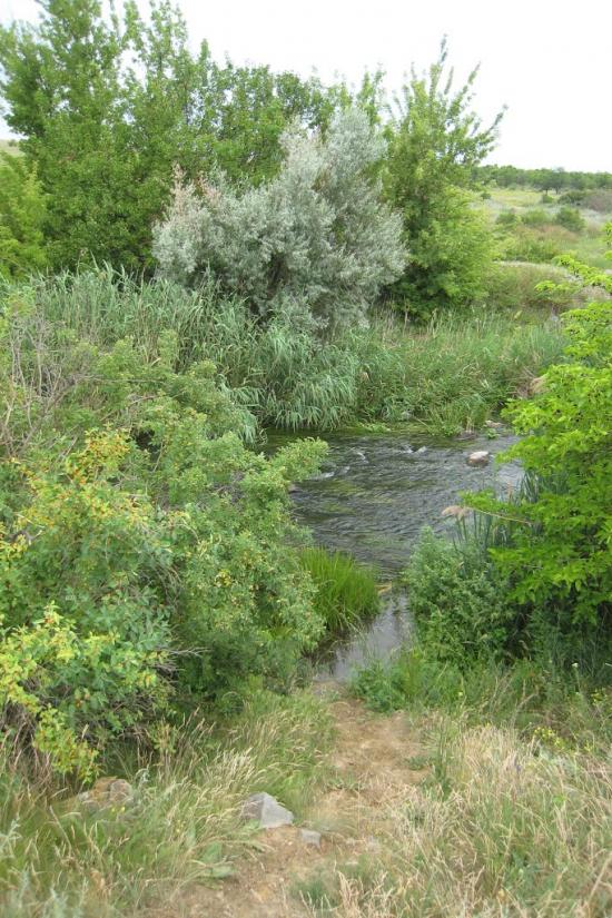 Родникове з panoramio.com - Родниково