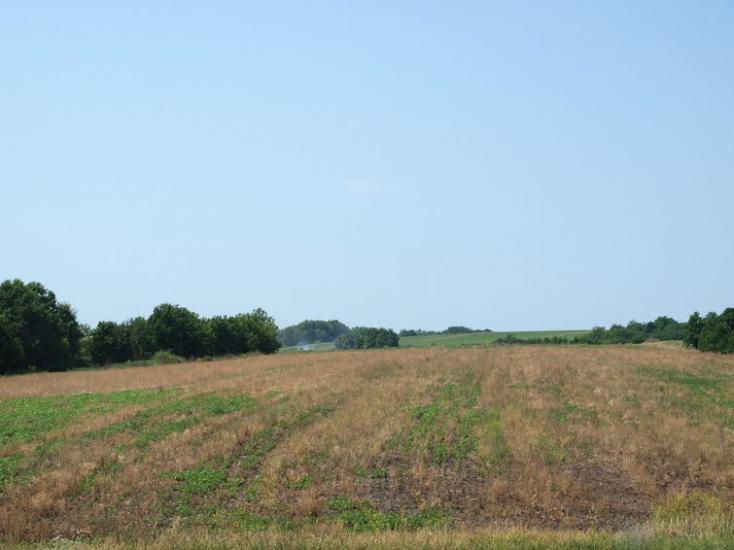 Пустовари з panoramio.com - Пустовары