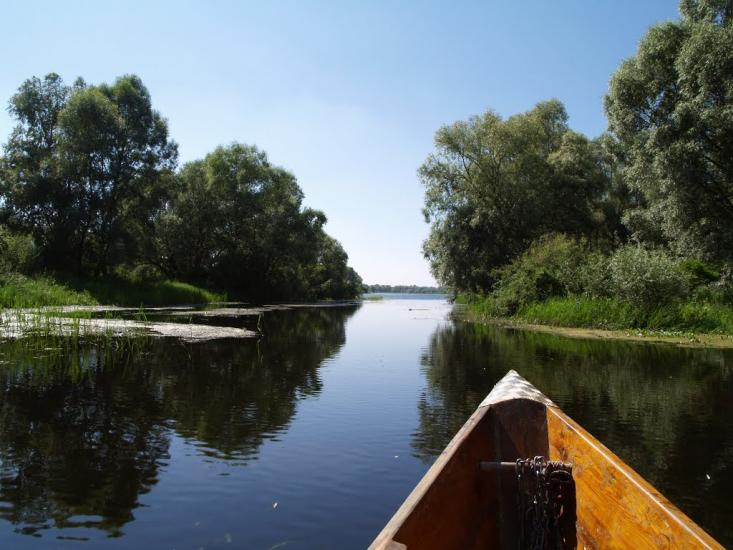 Хрещатик з panoramio.com - Крещатик