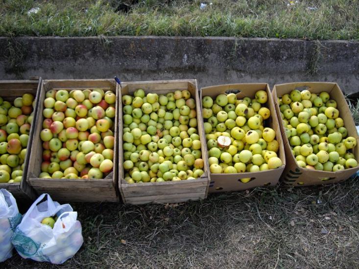 Стальне з panoramio.com - Стальне