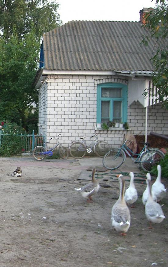 Дроздні з panoramio.com - Дроздні