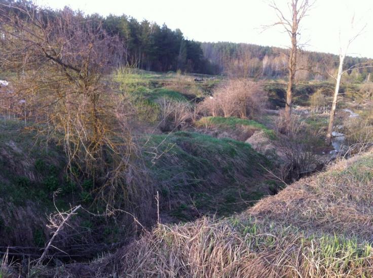 Мироцьке з panoramio.com - Мироцьке