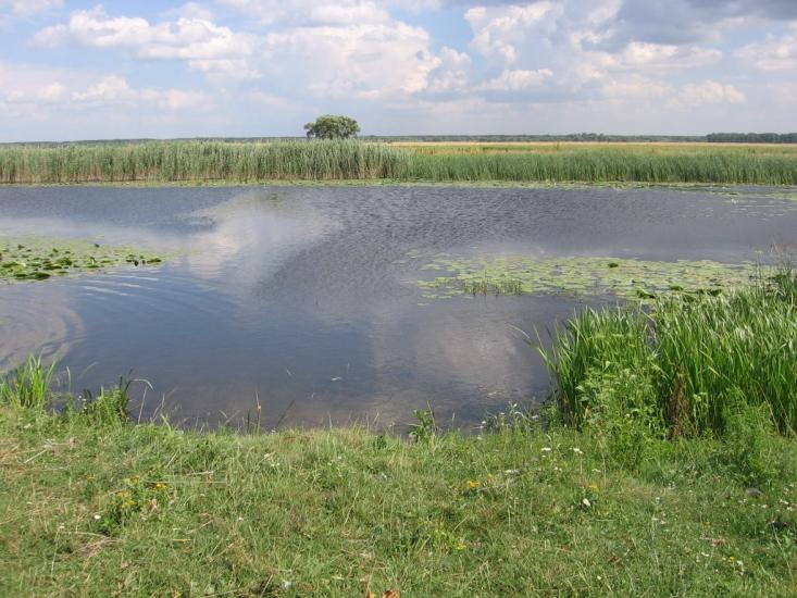 Любитове з panoramio.com - Любитове