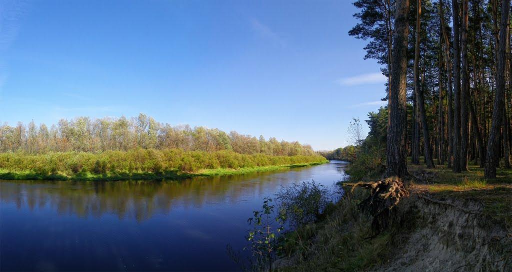 Снов'янка з panoramio.com - Сновянка