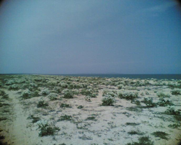 Пісочне з panoramio.com - Пісочне