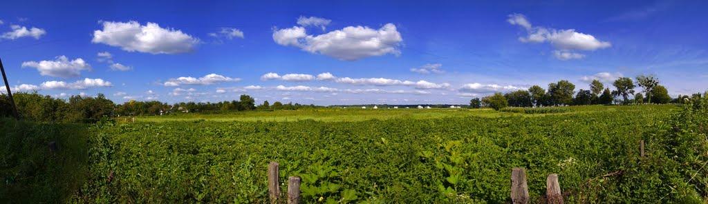 Заріччя з panoramio.com - Заріччя