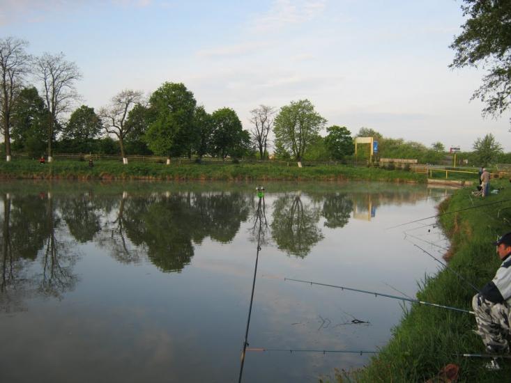 Старі Кривотули з panoramio.com - Старі Кривотули