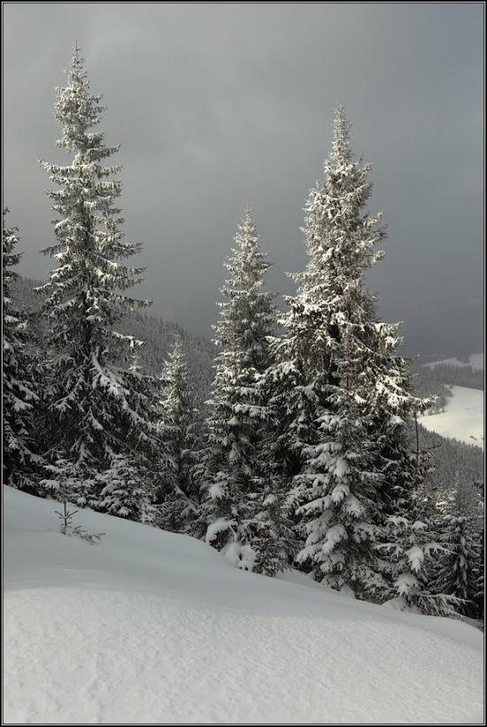 Кривопілля з panoramio.com - Kryvopillya