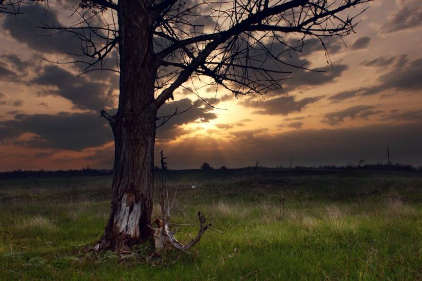 Вовчанськ з panoramio.com - Волчанск