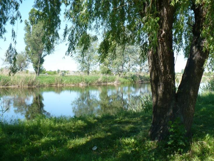 Барвінкове з panoramio.com - Барвенково