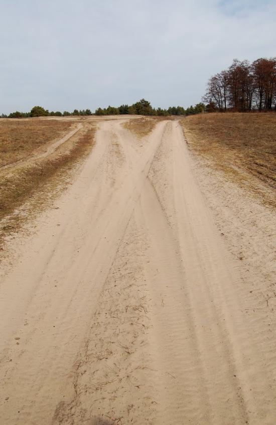 Кицівка з panoramio.com - Кицевка