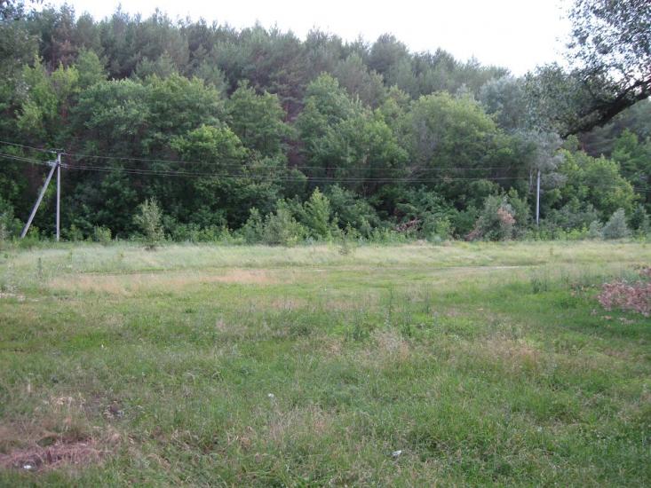 Пискунівка з panoramio.com - Pyskunivka