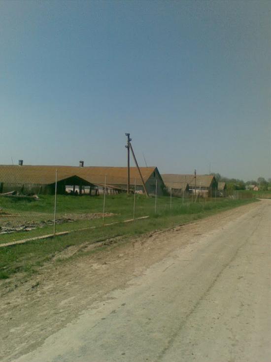 Ковалівка з panoramio.com - Ковалівка