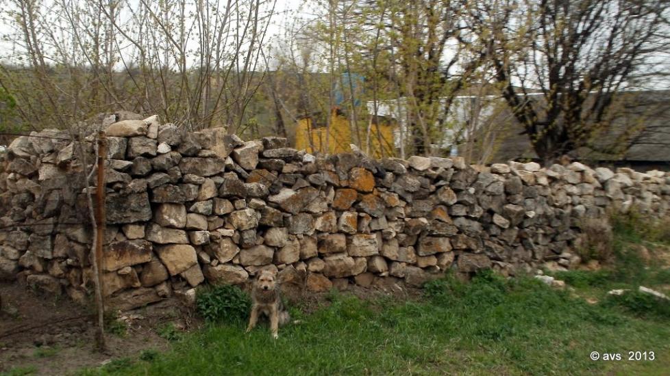 Зайцеве з panoramio.com - Зайцеве