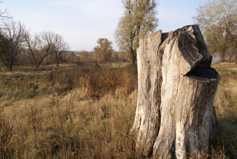 Мерефа з panoramio.com - Merefa