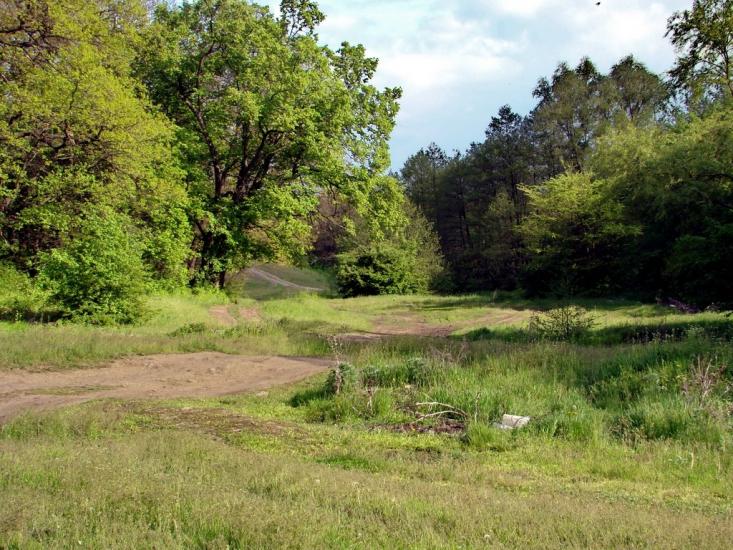 Ясенівський з panoramio.com - Ясеновский