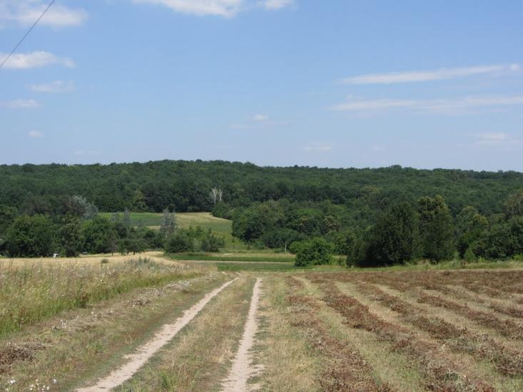 Попівка з panoramio.com - Поповка