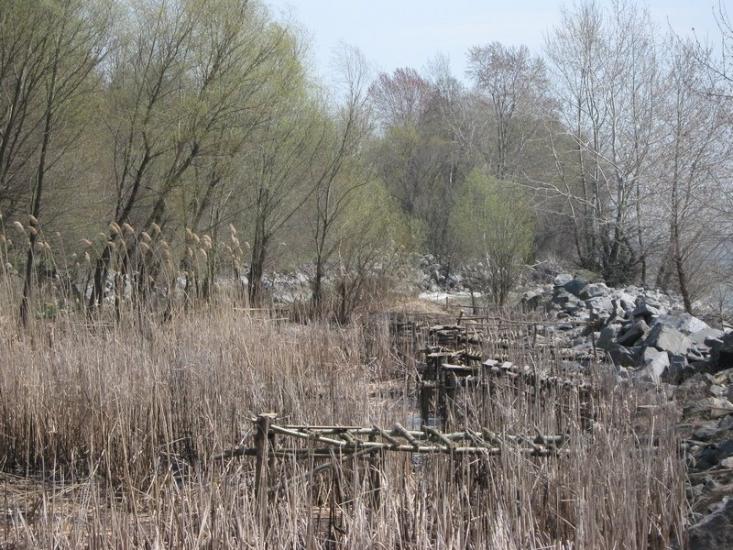 Максимівка з panoramio.com - Максимівка