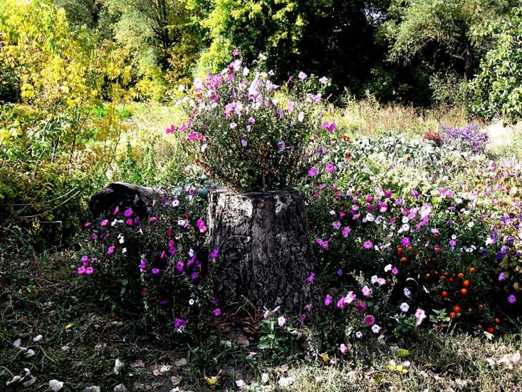 Іллірія з panoramio.com - Іллірія