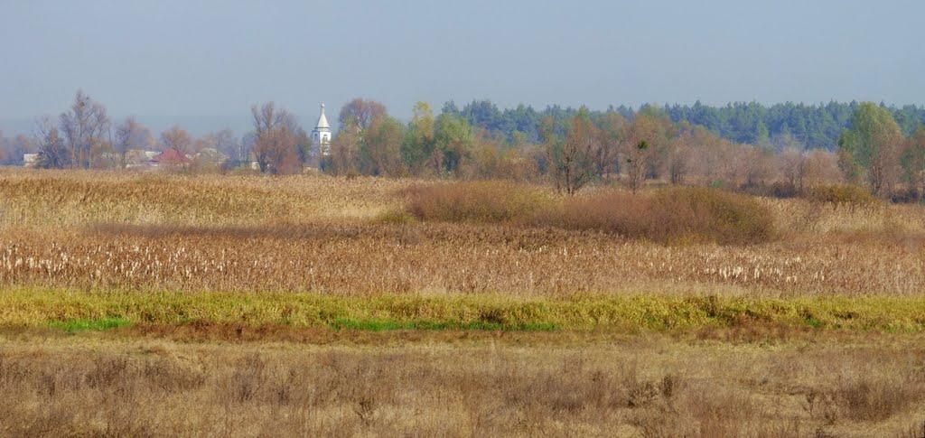 Бірки з panoramio.com - Бирки