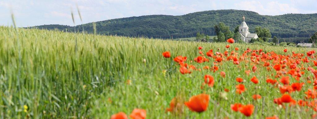 Черемошня з panoramio.com - Черемошня