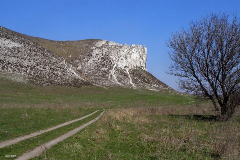 Білокузьминівка з panoramio.com - Білокузьминівка