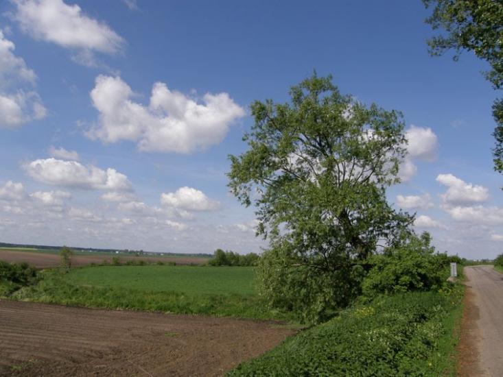 Стаївка з panoramio.com - Stayivka