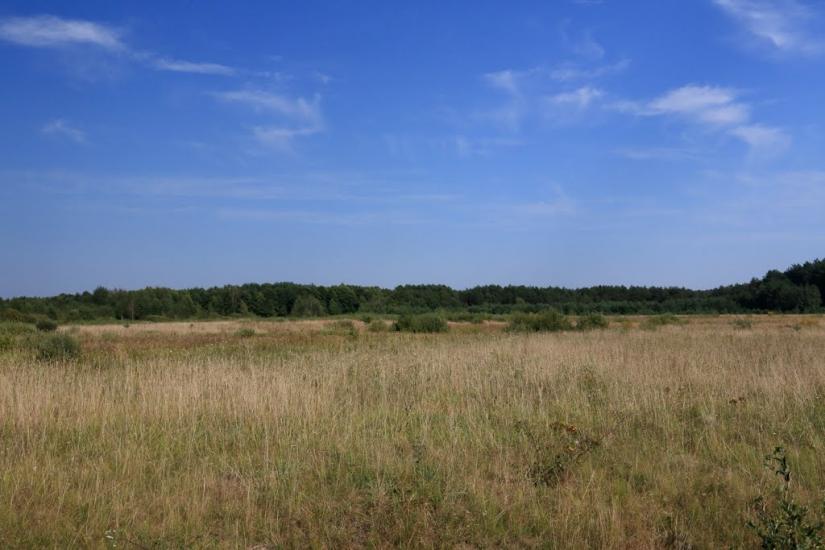 Буцин з panoramio.com - Буцин