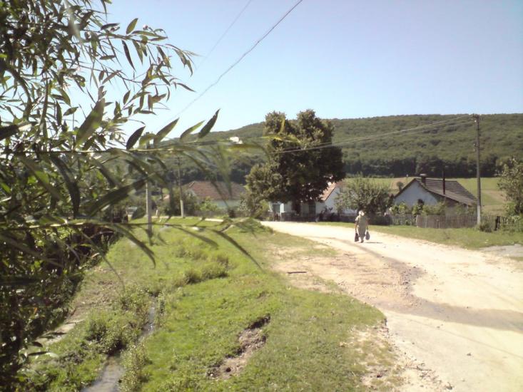Рогачин з panoramio.com - Рогачин