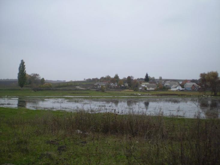 Пашківці з panoramio.com - Пашковцы