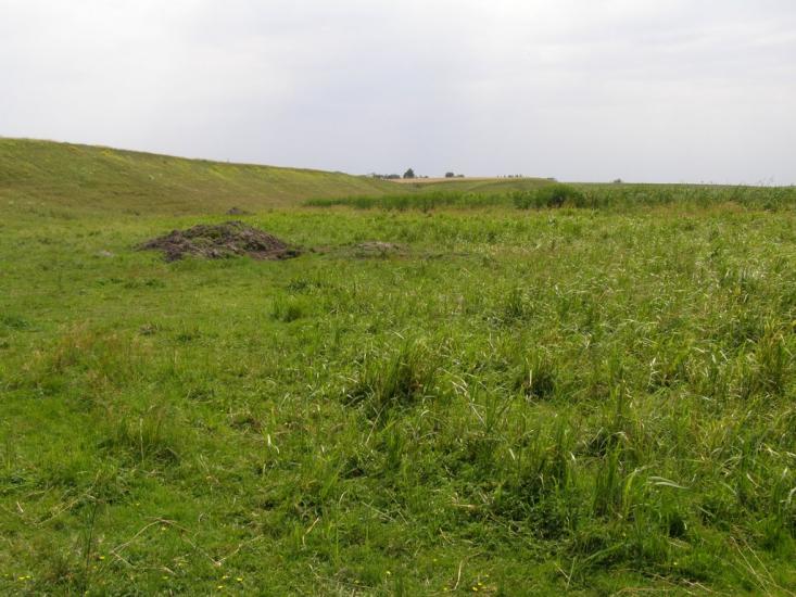 Пінчуки з panoramio.com - Пинчуки