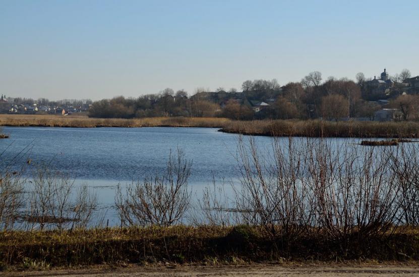 Плотича з panoramio.com - Плотыча