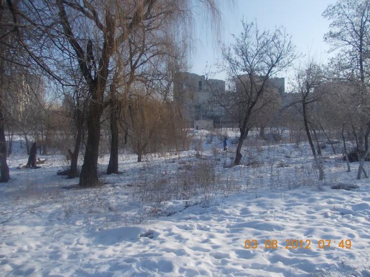 Нове з panoramio.com - Нове