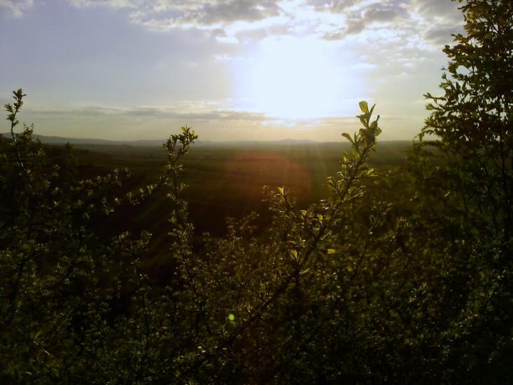 Воютичі з panoramio.com - Voyutychi