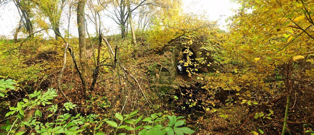 Віта-Поштова з panoramio.com - Віта-Поштова
