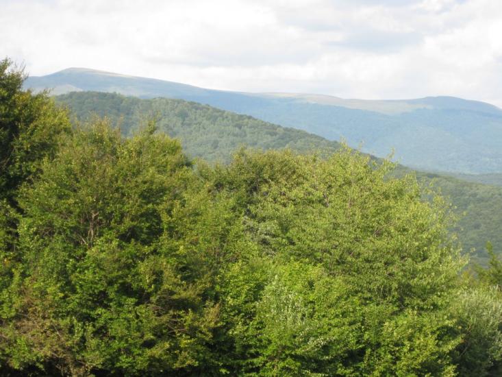 Вільшинки з panoramio.com - Вільшинки