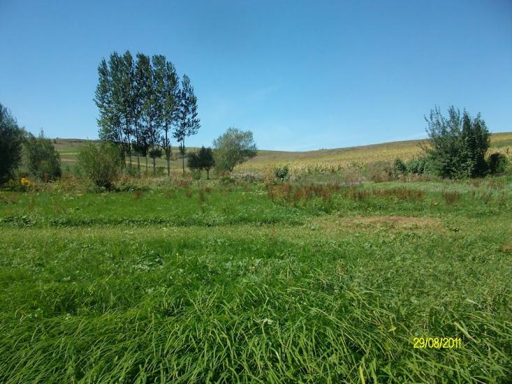 Тарасівці з panoramio.com - Тарасовцы