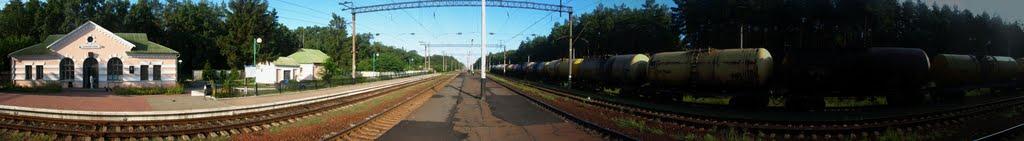 Княжичі з panoramio.com - Княжичі