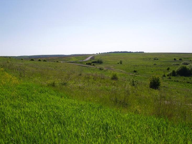 Коржівці з panoramio.com - Korzhivtsi