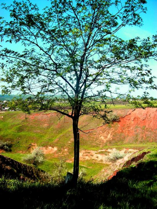 Ананьїв з panoramio.com - Ананьев