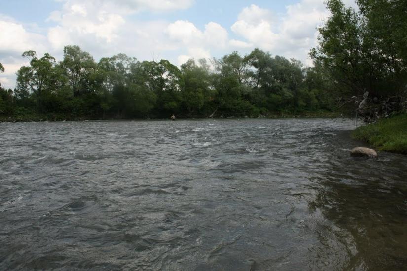 Неліпино з panoramio.com - Неліпино