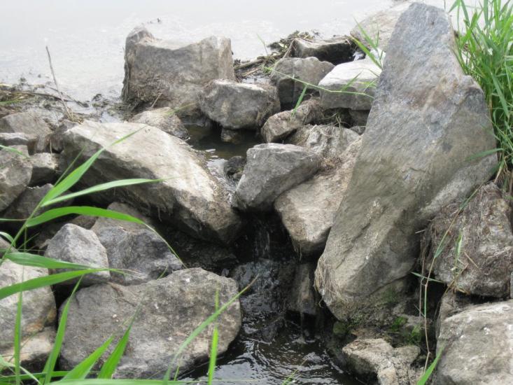 Наталівка з panoramio.com - Наталовка