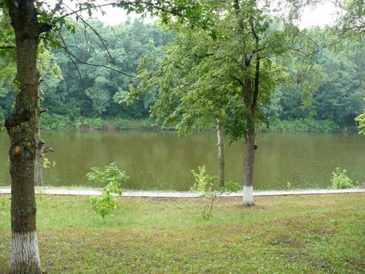 Сковородинівка з panoramio.com - Сковородинівка