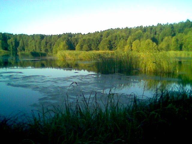 Линея з panoramio.com - Lyneya